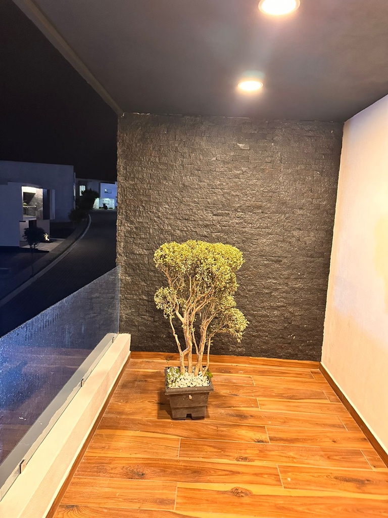 Residencial Parque Aguascalientes 